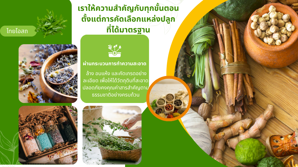 ผ่านกระบวนการทำความสะอาด ไทยโอสถ